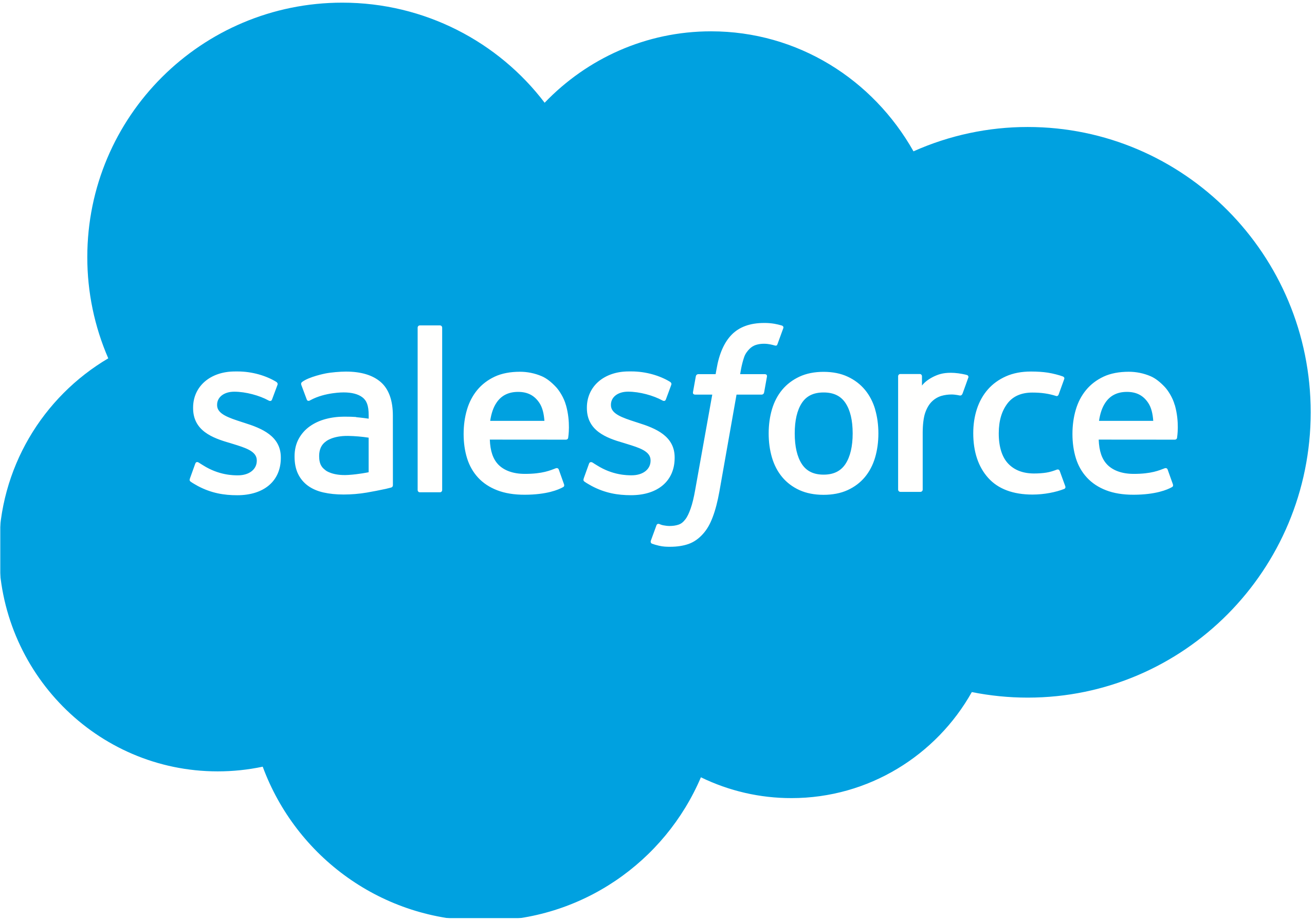 SalesForce Partner